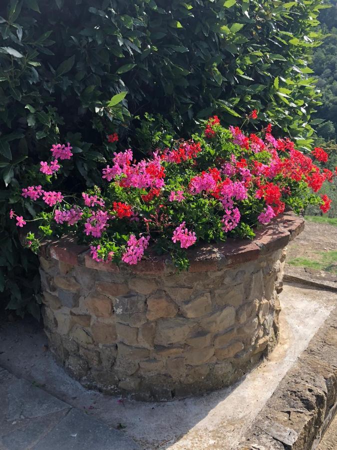 Agriturismo La Casella Castelfranco di Sopra Exteriér fotografie