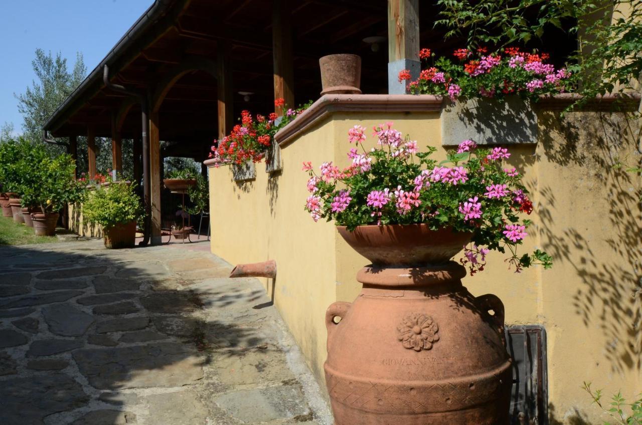 Agriturismo La Casella Castelfranco di Sopra Exteriér fotografie