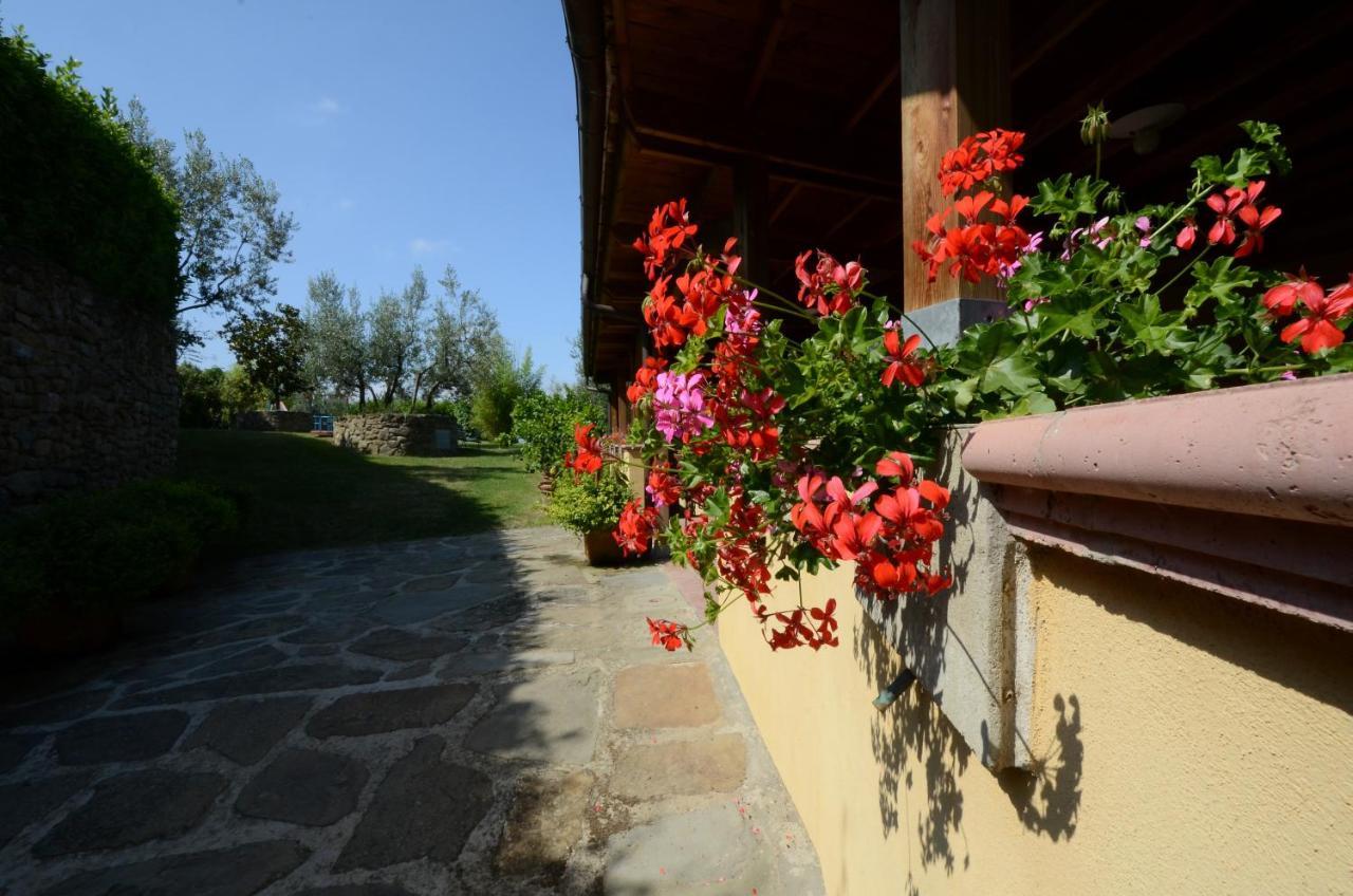 Agriturismo La Casella Castelfranco di Sopra Exteriér fotografie